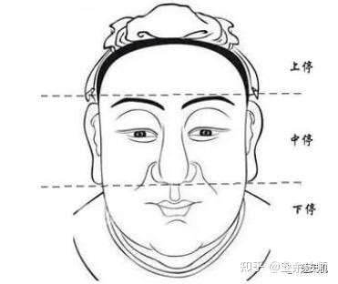 面型面相|面相～脸型类，铁口断性格